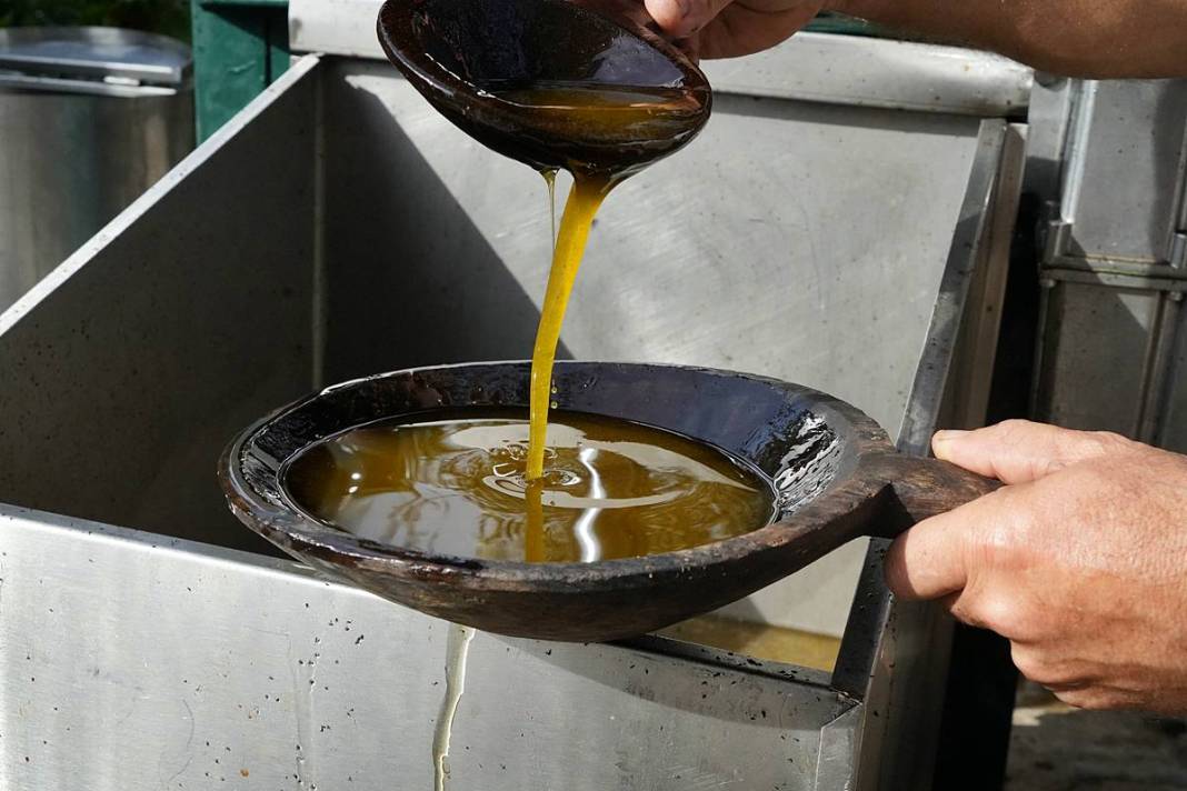 Taş devri yöntemiyle en kral zeytinyağını çıkarıyor! 8